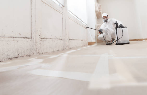 24/7 Emergency Mold Remediation experts in Decatur, IL